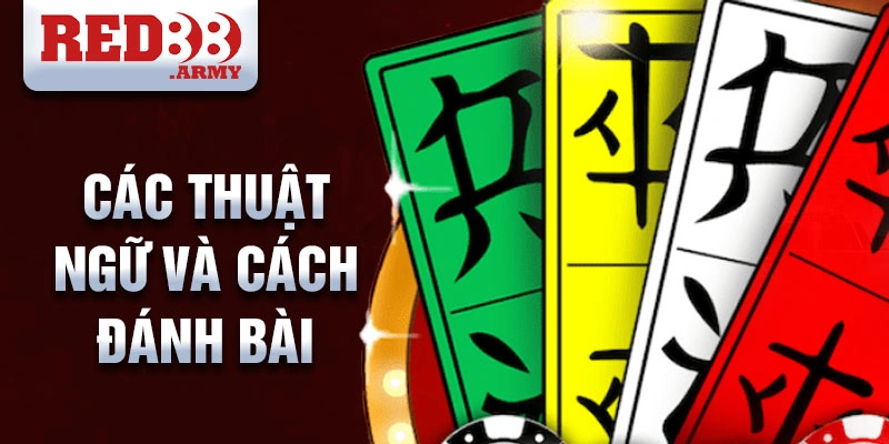 Các thuật ngữ và cách đánh bài